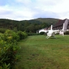 R44 in Garden of Isle of Mull Hotel