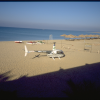 R44 in Sinai